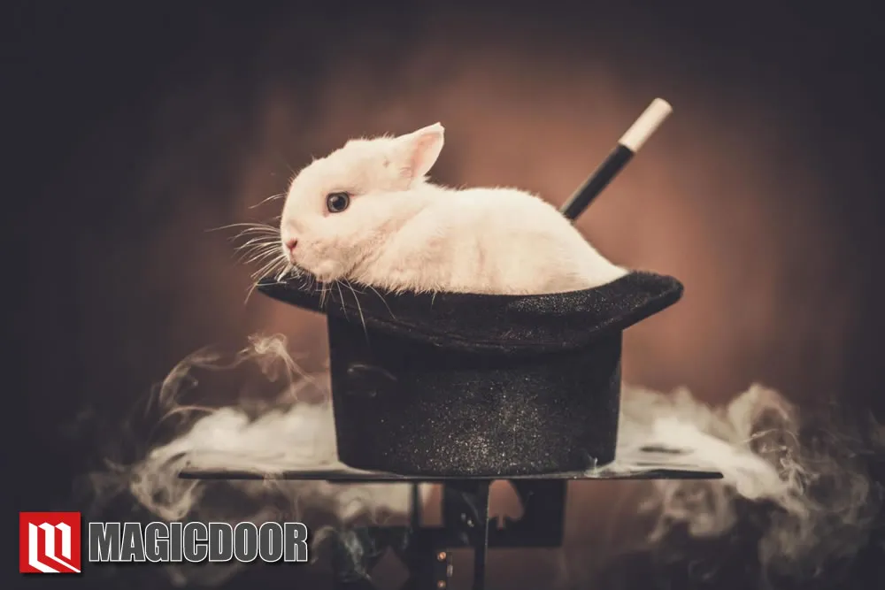 美人マジシャンシエルってどんな人？魔法の合言葉は「Love Magic！」