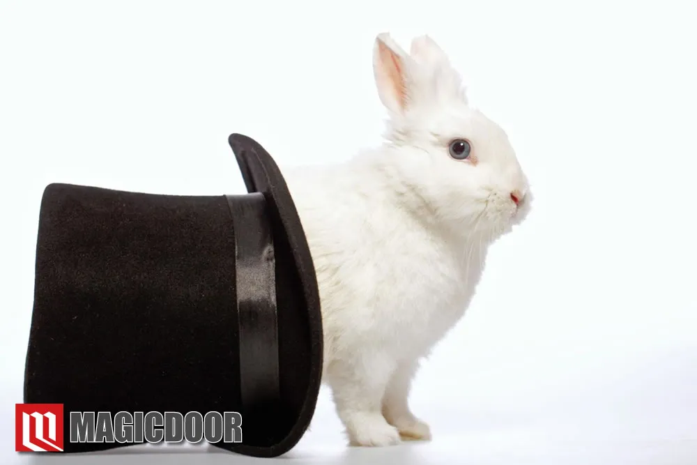 イケメンマジシャン「巳碧（みたま）」の経歴や華麗なマジックを紹介！